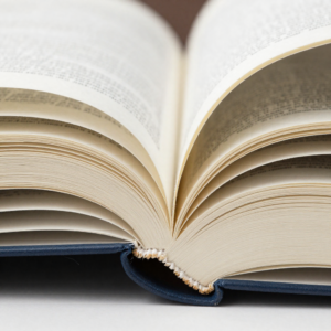 Einleitung Bachelorarbeit